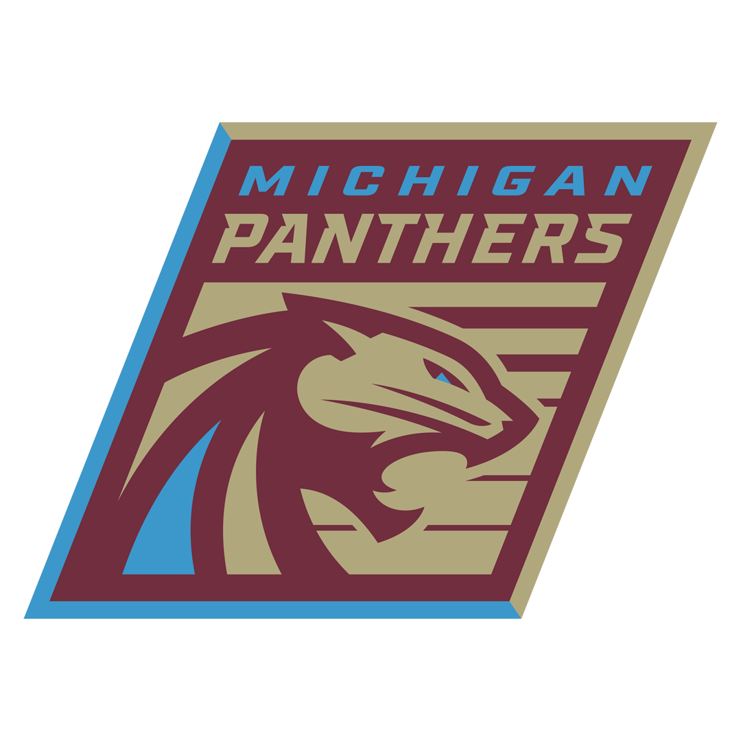 More Info for UNITED FOOTBALL LEAGUE - PANTHERS VS DEFENDERS