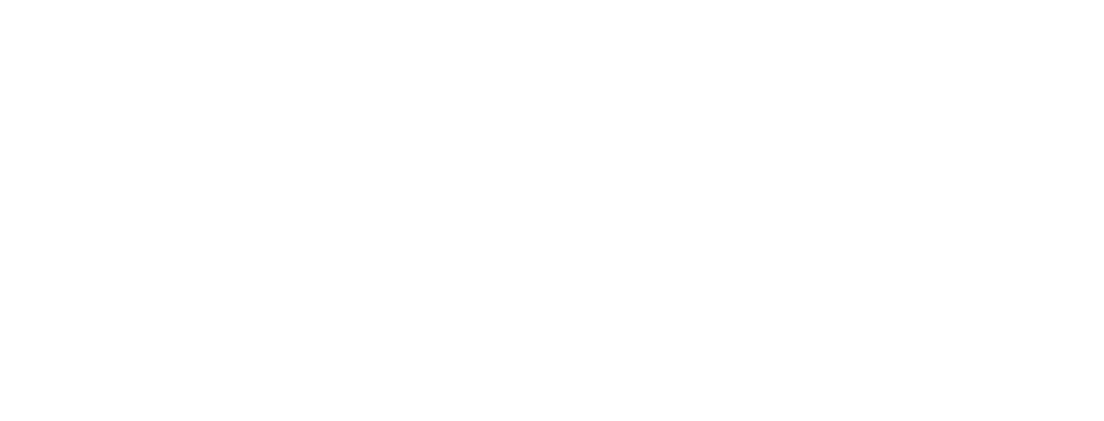 Built Ford Proud